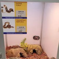 Pet Supermarket ico