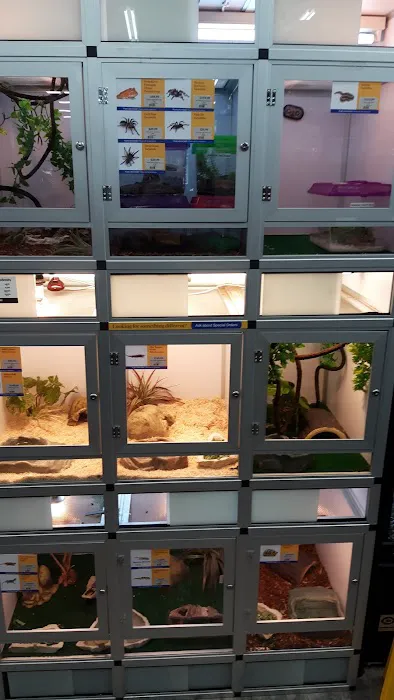 Pet Supermarket Picture 3