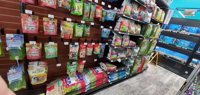 Pet Supermarket Picture 5