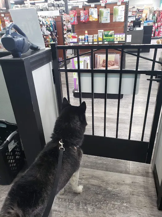 Pet Supermarket Picture 2