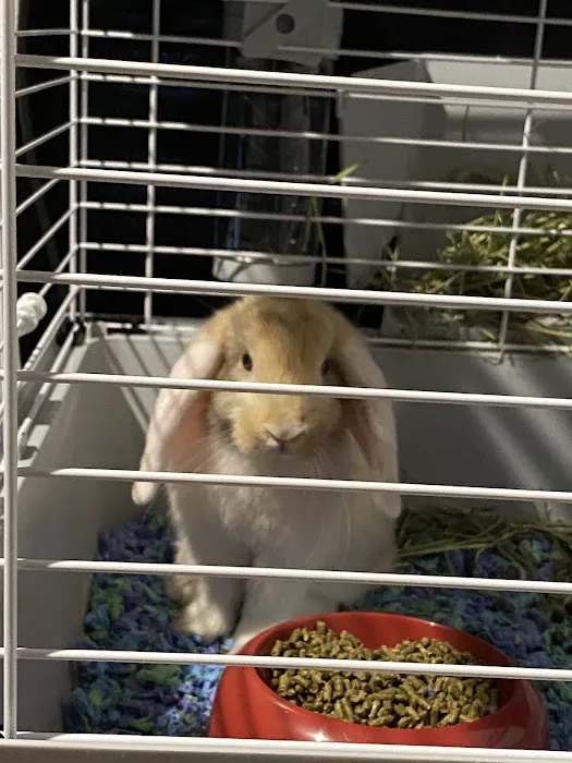 Pet Supermarket Picture 9