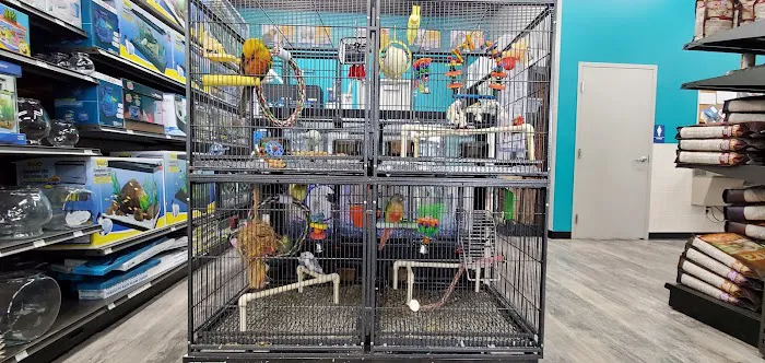 Pet Supermarket Picture 7