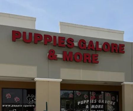 Puppies Galore & More