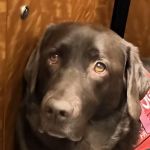 Southport Veterinary Center