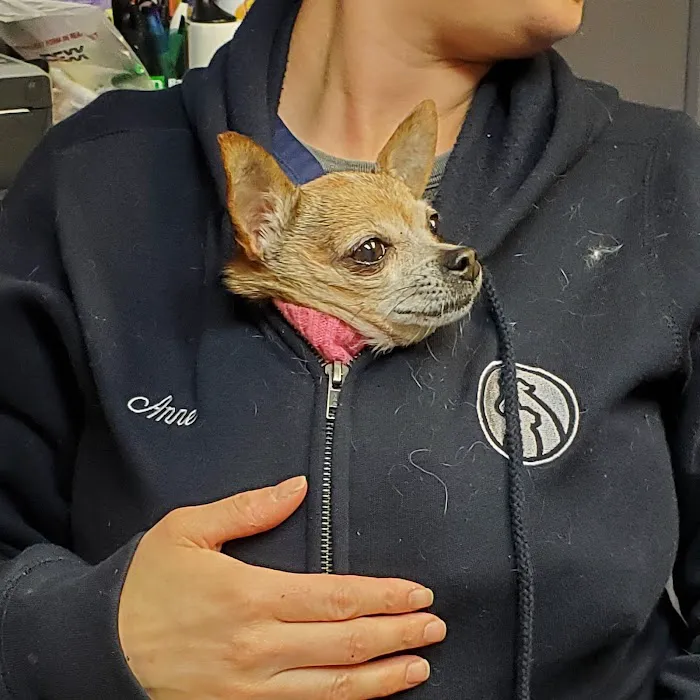 Southport Veterinary Center Picture 3