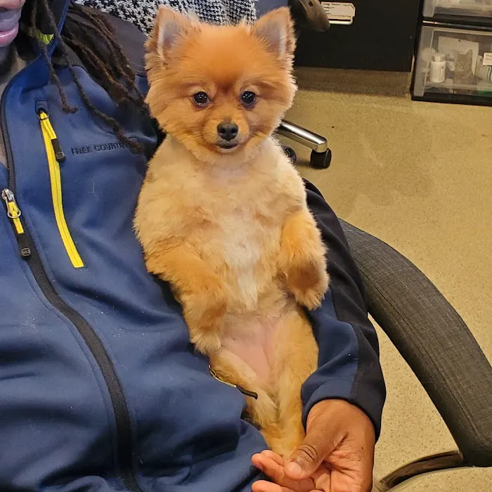 Southport Veterinary Center Picture 10