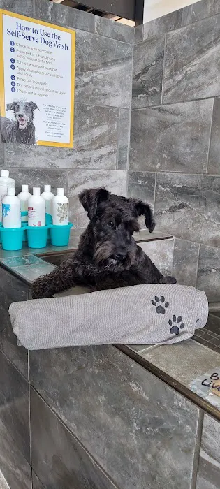 Pet Supermarket Picture 5
