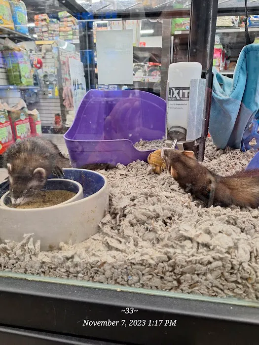 Pet Supermarket Picture 8