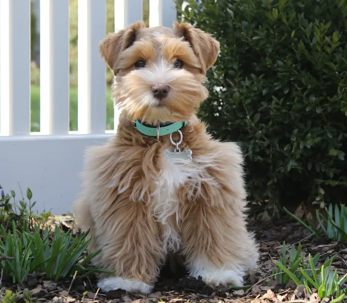 Fairfield Veterinary Hospital Picture 9