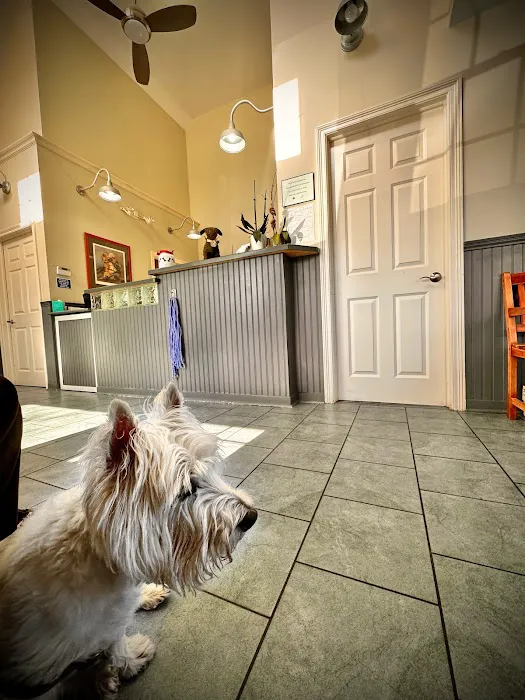 Fairfield Veterinary Hospital Picture 5