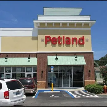 Petland Jacksonville Picture 3