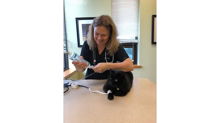 AristoKatz - Veterinary Care for Cats Picture 10