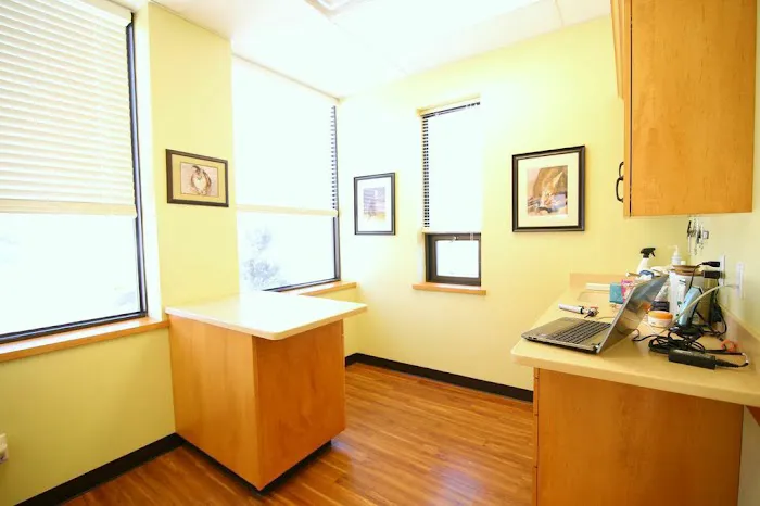 AristoKatz - Veterinary Care for Cats Picture 9