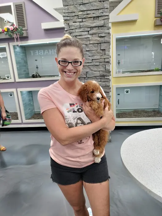 Bff Puppies Picture 10