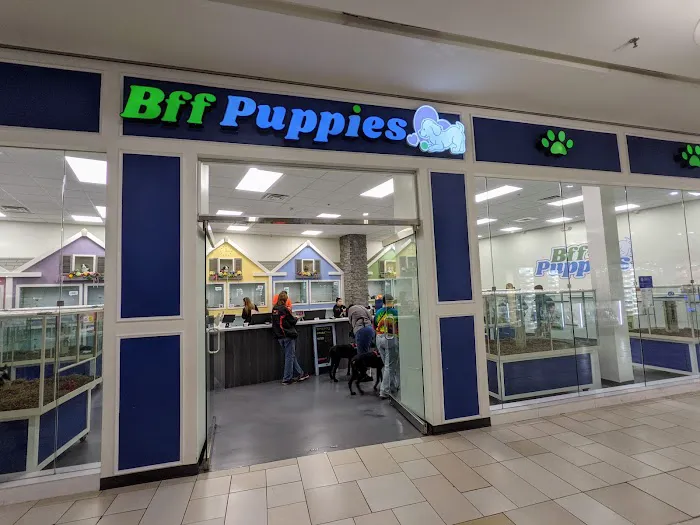 Bff Puppies Picture 1