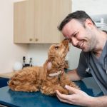 Bond Vet - Fairfield
