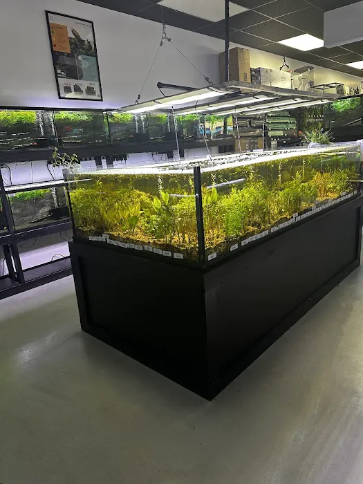 Natural Environment Aquatix Picture 1