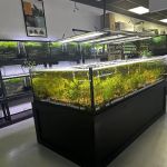 Natural Environment Aquatix