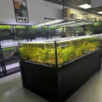 Natural Environment Aquatix ico