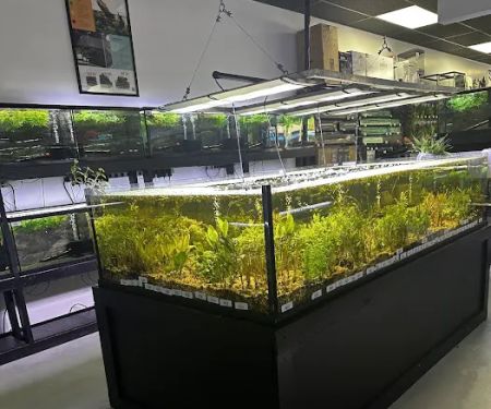 Natural Environment Aquatix