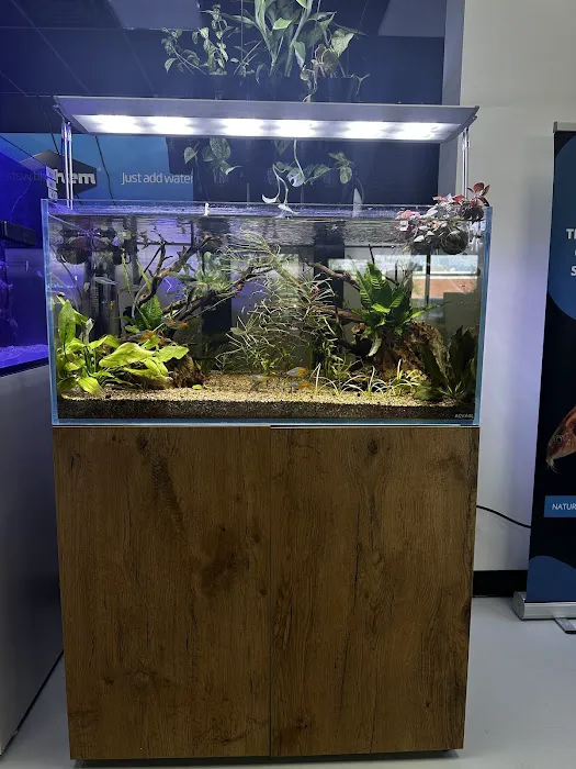 Natural Environment Aquatix Picture 4