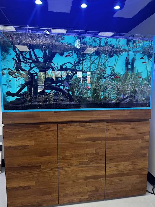 Natural Environment Aquatix Picture 5