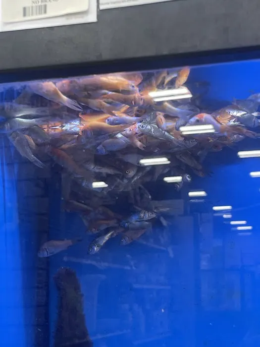 Pet Supermarket Picture 8