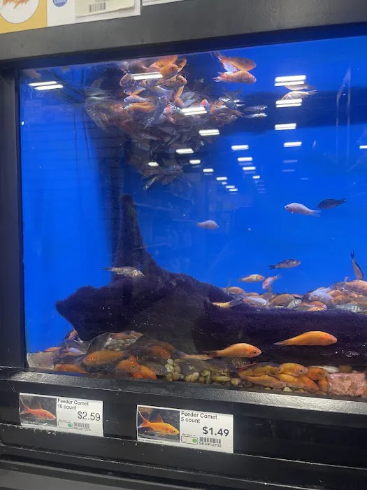 Pet Supermarket Picture 5