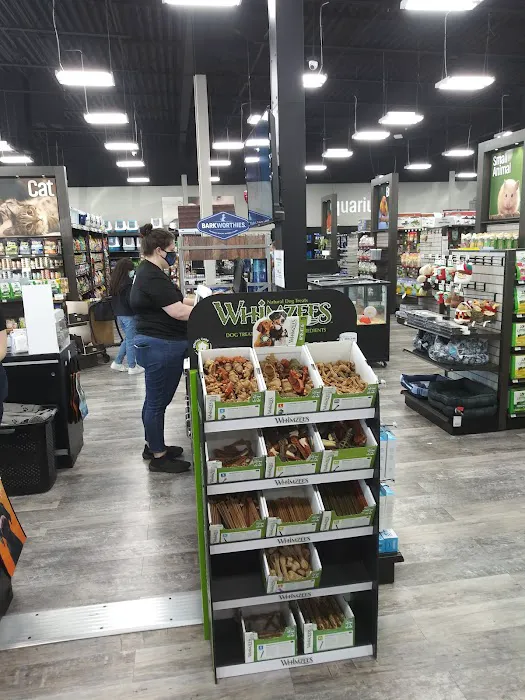 Pet Supermarket Picture 9