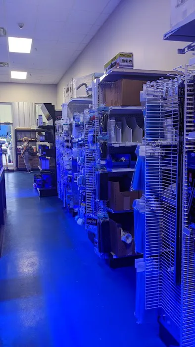 Coral Logic Aquarium LLC Picture 7