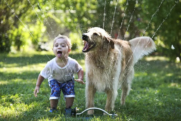 Puppy Avenue Picture 6