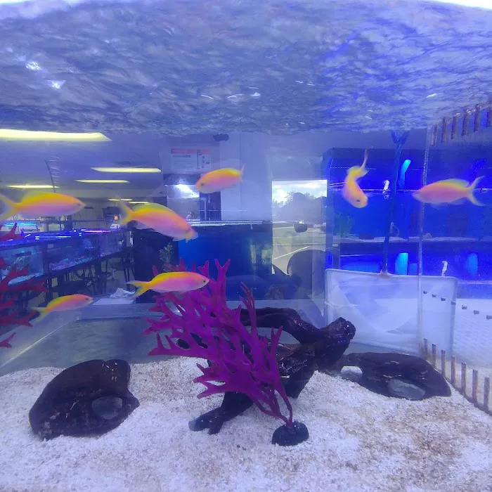 Orange Park Aquatics Picture 5