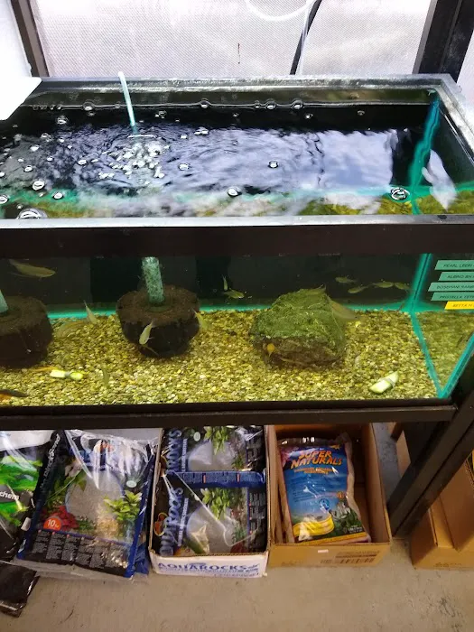 Orange Park Aquatics Picture 8