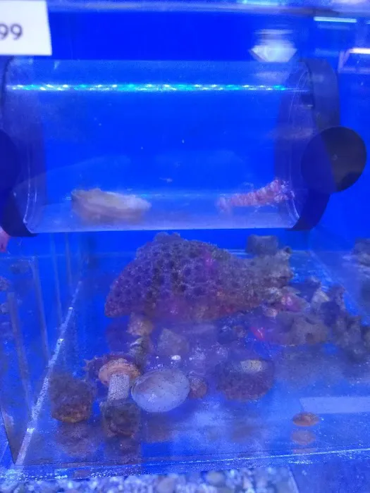 Orange Park Aquatics Picture 9
