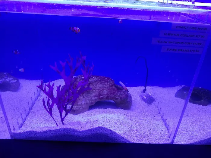 Orange Park Aquatics Picture 6