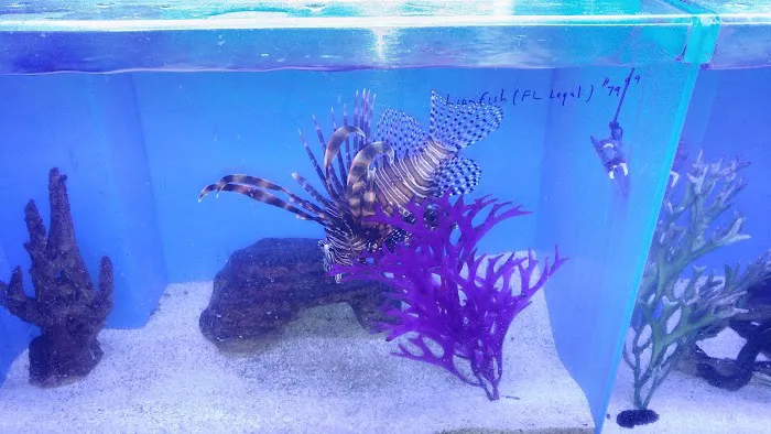 Orange Park Aquatics Picture 10