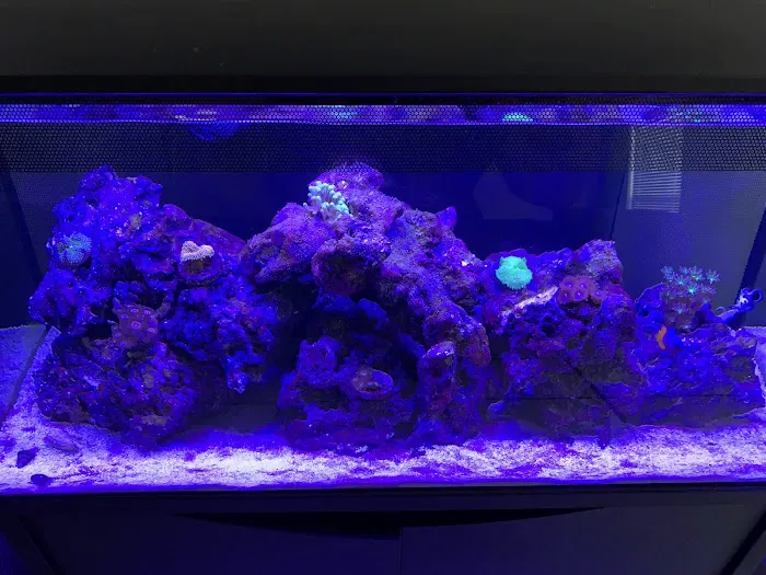 Orange Park Aquatics Picture 3
