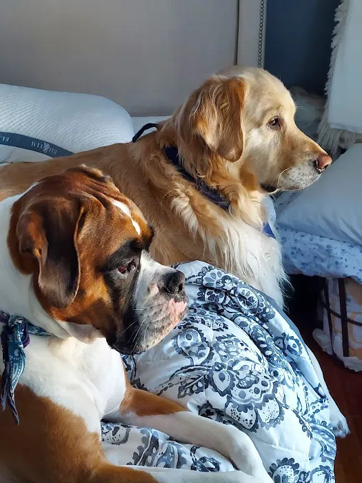 Highway Animal Hospital Picture 9