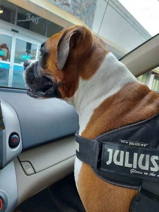 Highway Animal Hospital Picture 6