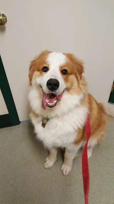 Highway Animal Hospital Picture 3