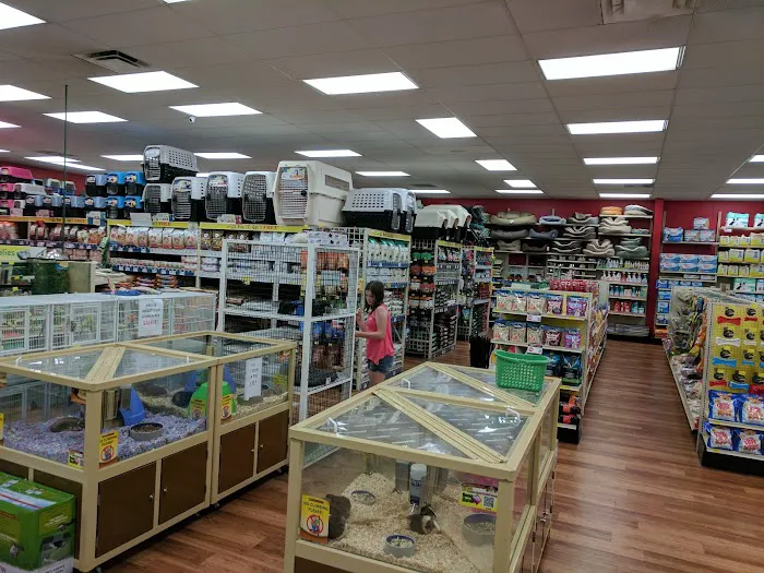 Pet Supermarket Picture 5