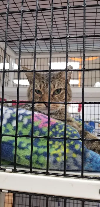 Pet Supermarket Picture 1