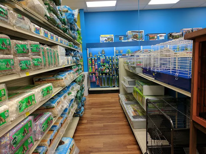 Pet Supermarket Picture 4