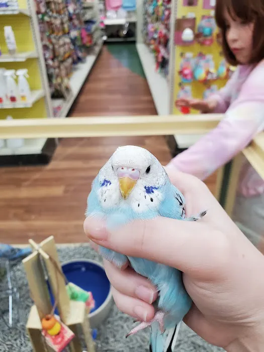 Pet Supermarket Picture 6