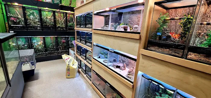 Xtreme Exotics Picture 3