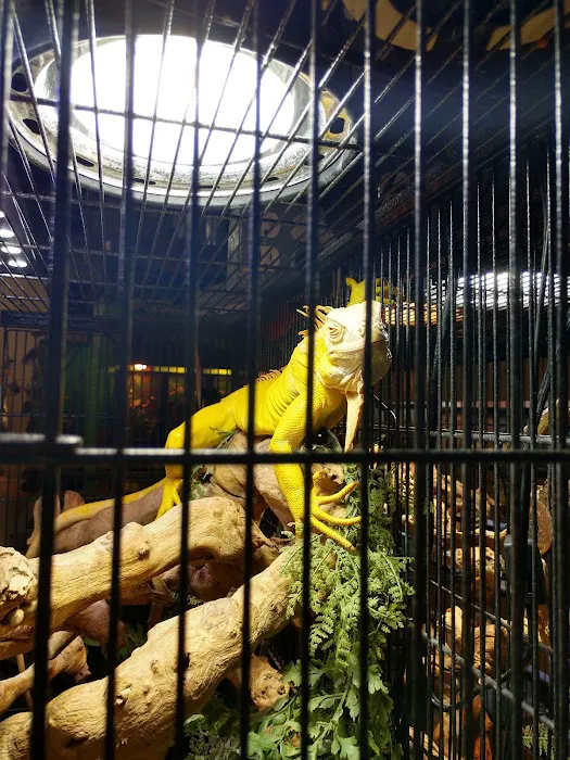 Xtreme Exotics Picture 2