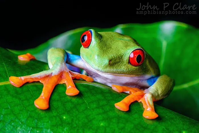 Xtreme Exotics Picture 5