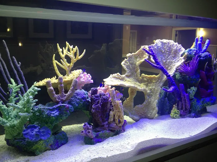 CGI Aquatic Care Picture 3