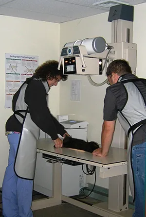 Beacon Valley Animal Hospital Picture 1