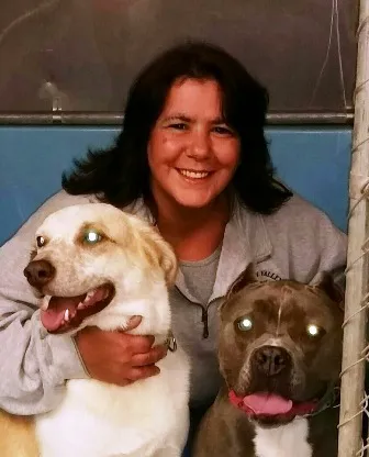 Beacon Valley Animal Hospital Picture 4